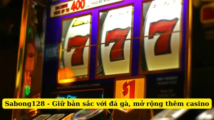 Sabong128 - Giữ bản sắc với đá gà, mở rộng thêm casino
