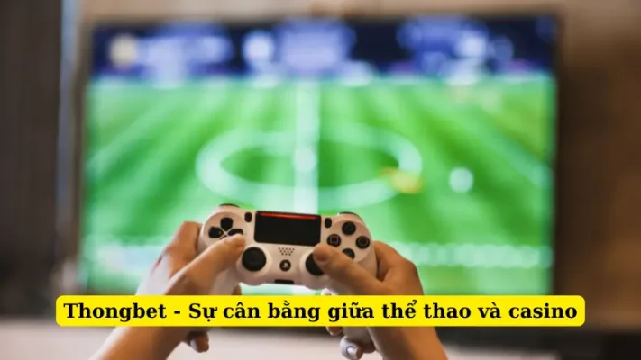 Thongbet - Sự cân bằng giữa thể thao và casino